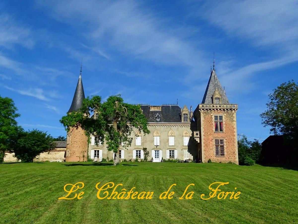 Saint-Etienne-sur-Usson Chateau De La Forie מראה חיצוני תמונה