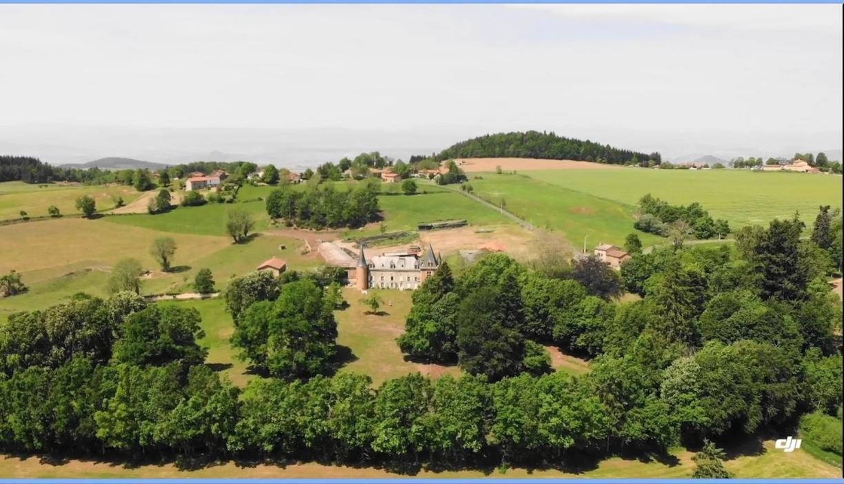 Saint-Etienne-sur-Usson Chateau De La Forie מראה חיצוני תמונה