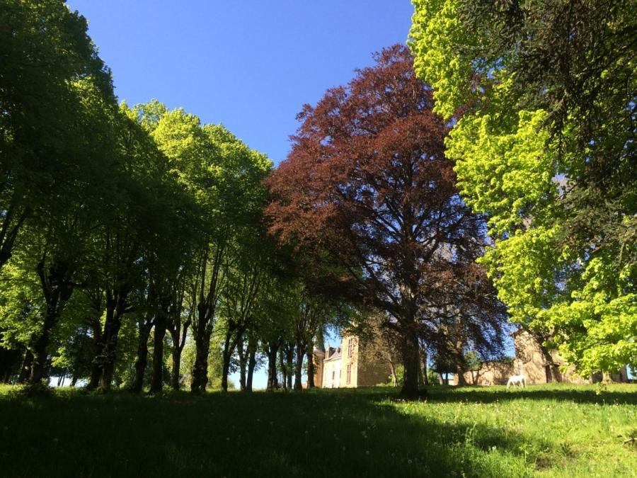 Saint-Etienne-sur-Usson Chateau De La Forie מראה חיצוני תמונה