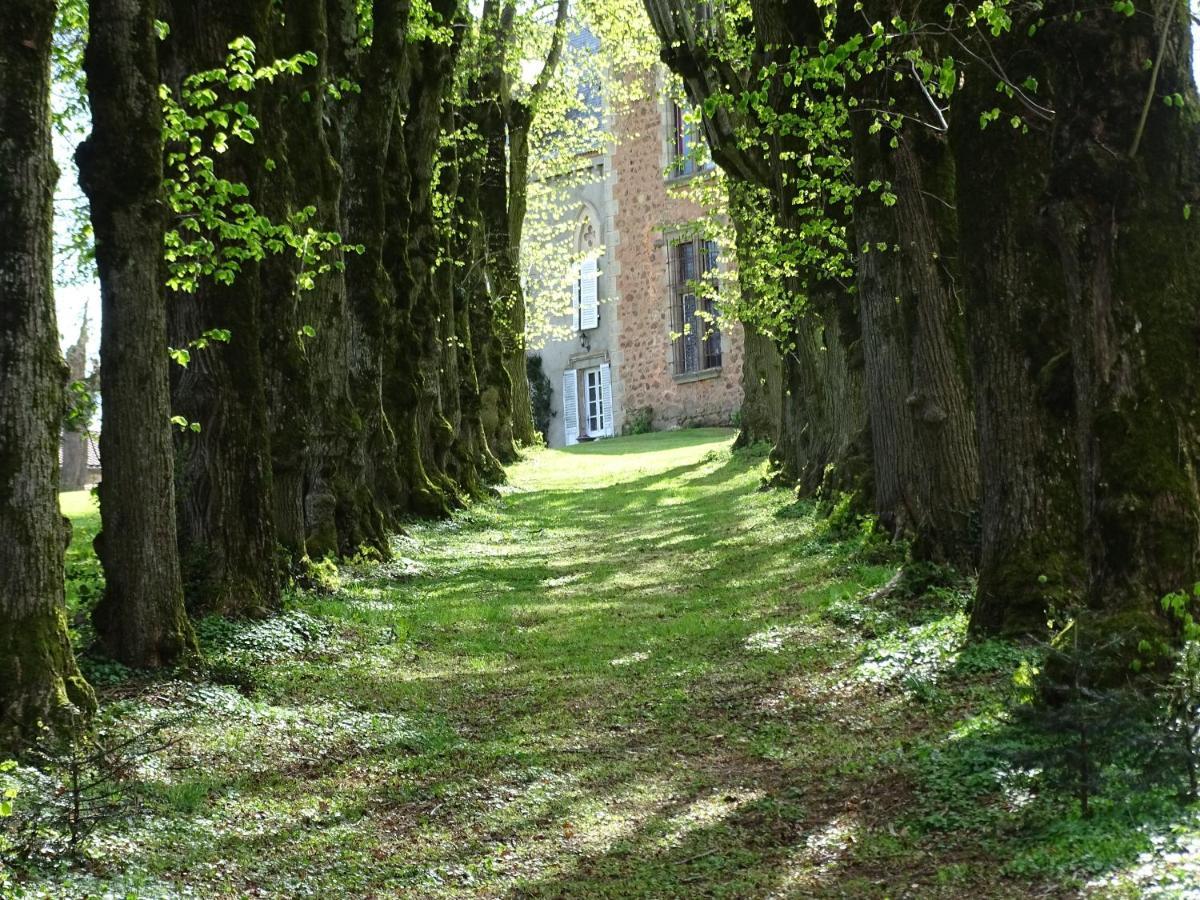 Saint-Etienne-sur-Usson Chateau De La Forie מראה חיצוני תמונה