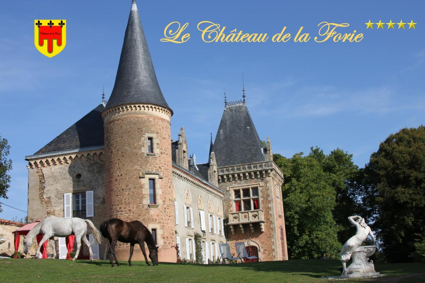 Saint-Etienne-sur-Usson Chateau De La Forie מראה חיצוני תמונה